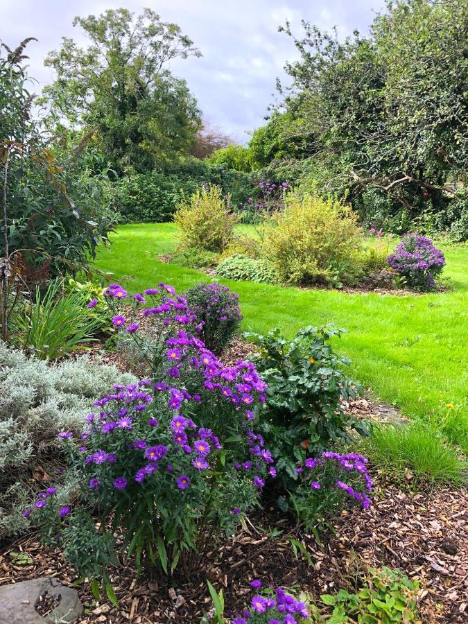 Bed and Breakfast Dingle Garden Townhouse Exterior foto The gardens at the centre