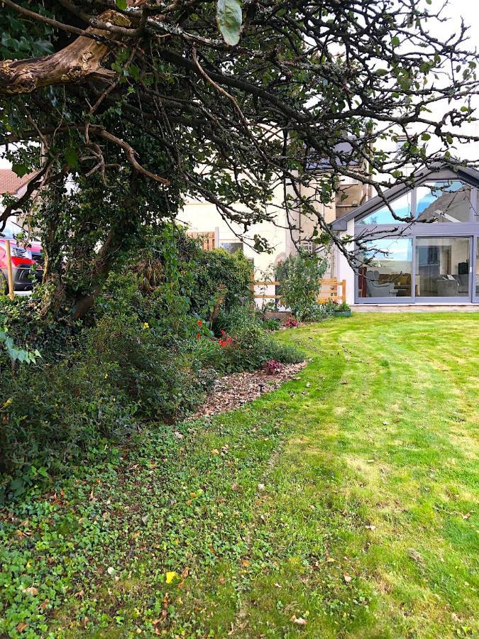 Bed and Breakfast Dingle Garden Townhouse Exterior foto The garden of the house
